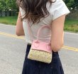 画像4: Straw & Leather Tote Shoulder Bag Crossbody Mini Bag　ストロー＆レザーかご籠トートショルダークロスボディーポシェットバッグかばん (4)