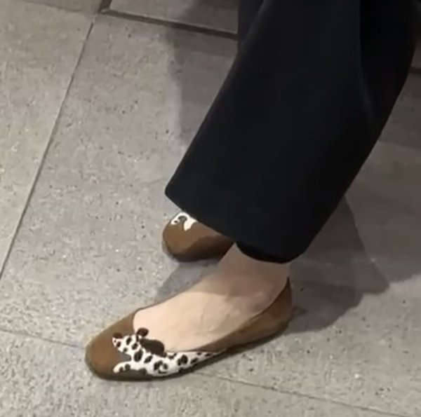 画像3: Dalmatian flat sole round toe ballet shoes pumps shoes 　ダルメシアンフラットラウンドトゥバレエシューズパンプスペタンコラクチンシューズ (3)