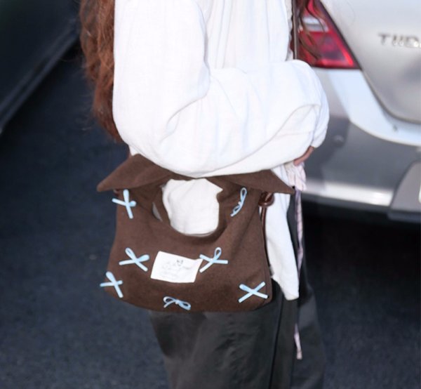 画像3: Wool ribbon tote shoulder crossbody bag　ウールリボン付きトートショルダークロスボディバッグ (3)