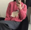 画像8: Fluffy dog ​​embroidered round neck sweater knit　 パピードッグ編み込みラウンドネックのプルオーバーセーターニット (8)